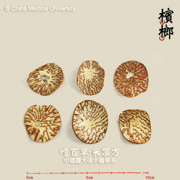 檳榔
