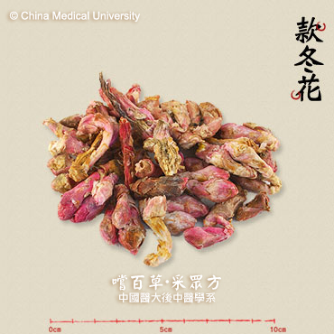 款冬花