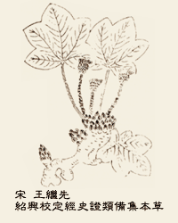 款冬花古圖
