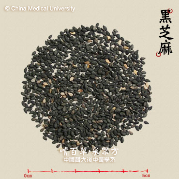 黑芝麻
