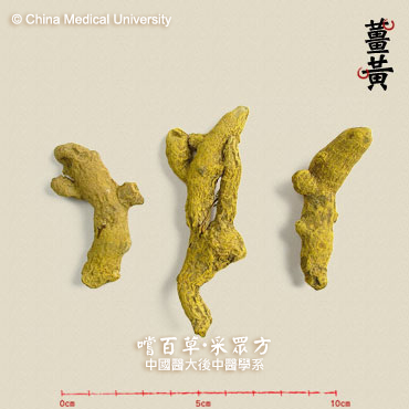 薑 黃